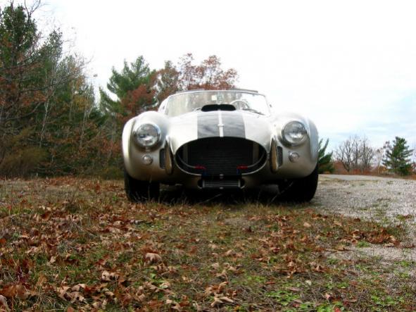 Cobra61