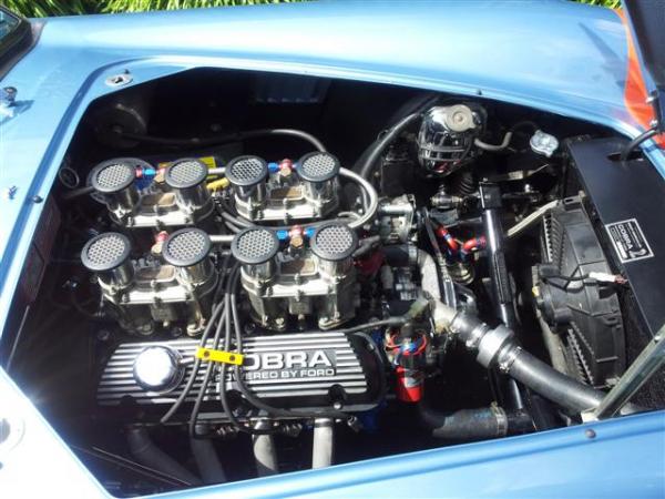 Refreshed 289ci runing a hiddin injection system