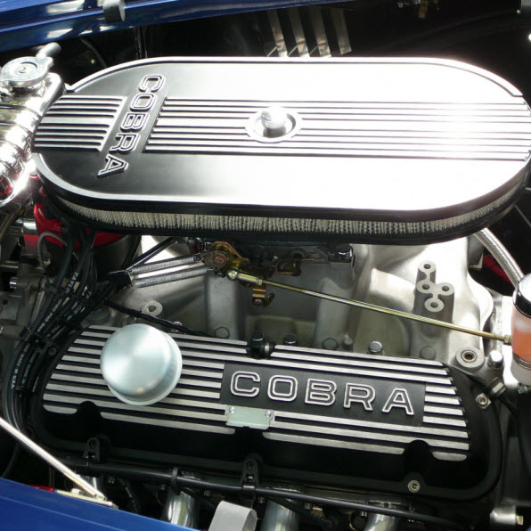 Cobra 600x600 2