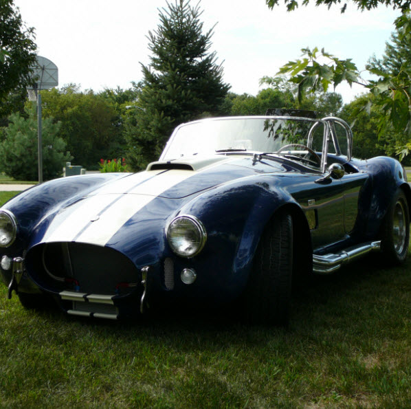 Cobra 600x600 3