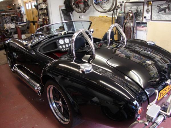 cobra nealy finished 009