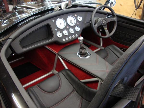 cobra nealy finished 007