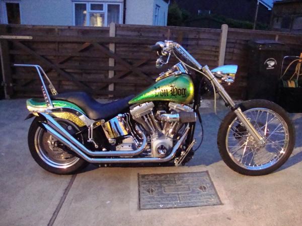 harley