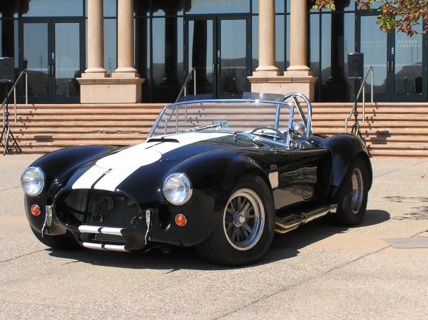 Cobra Pics 002