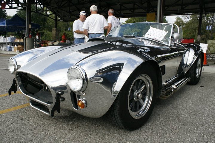 Cobra_at_Turkey_Creek_1