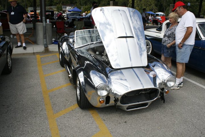 Cobra_at_Turkey_Creek_3