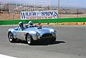willow_springs_2008_Small_.jpg
