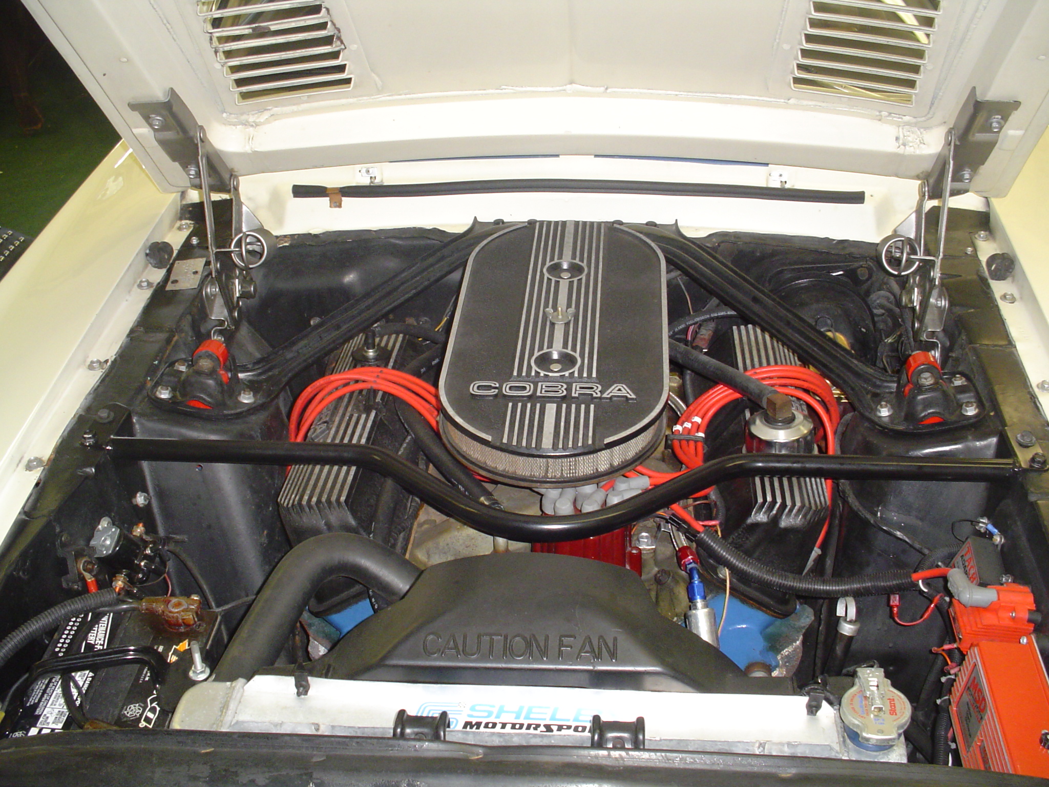 18605Shelby_Friday0001