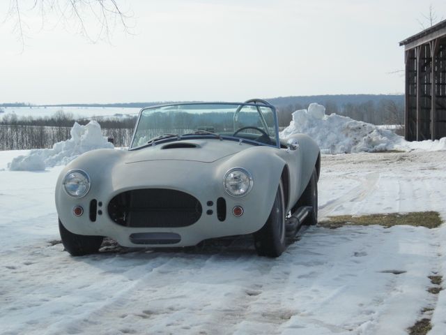 cobra_march_2010_001