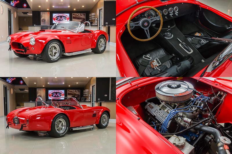 Unique_Cobra_4_pics_in_one_-_Copy