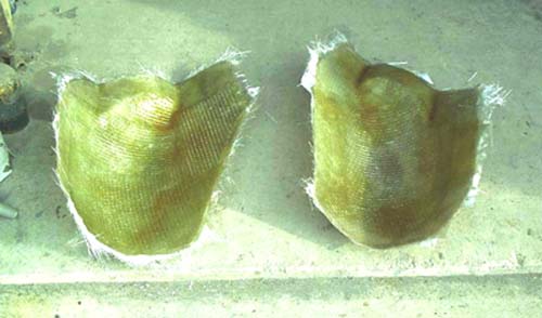 10888billcookcobrawh_copy