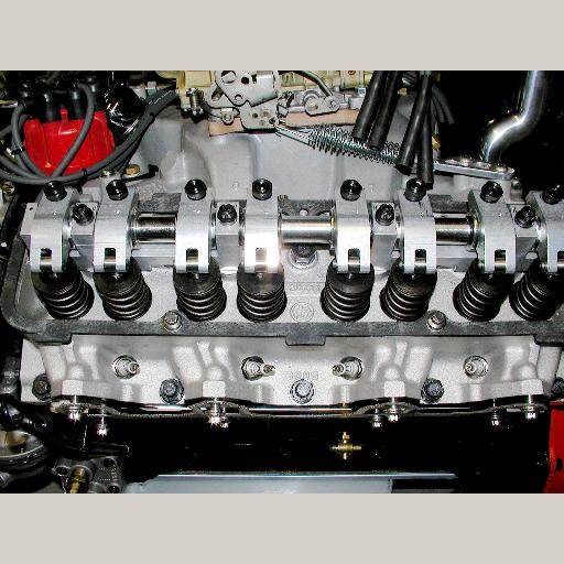 Erson Rockers Club Cobra Photo Gallery