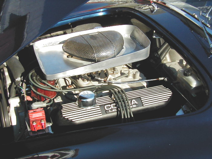 13015p8110004_cobra__7