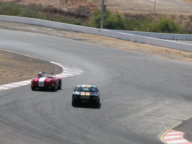 133754x3redcobraout_of_7DSCN3911