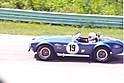 19356Cobra19.jpg