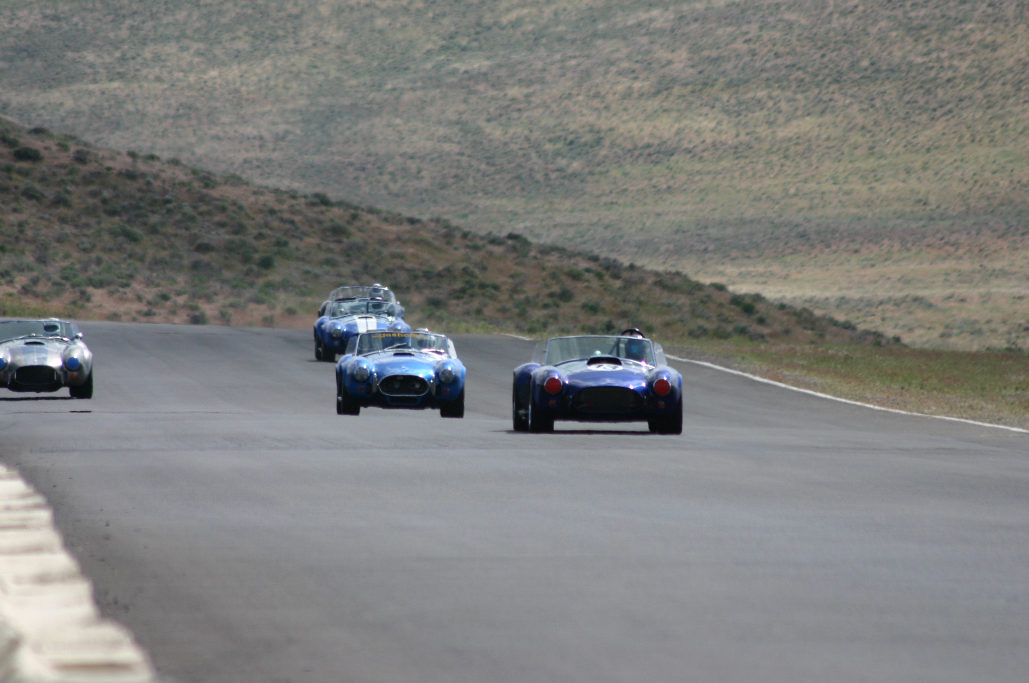 Cobra_Bash_Friday_919