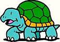 turtle.jpg