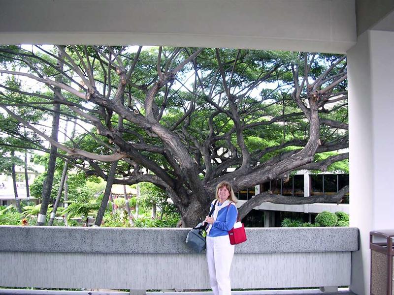 In_Hawaii_Medium_