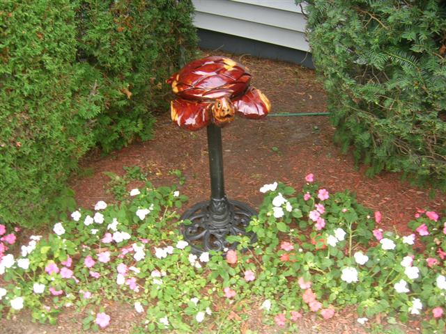 DSCN5600_Small_1