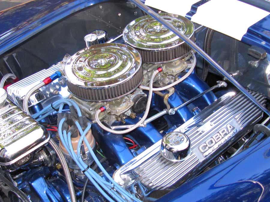 Misc-Pistures-Dec-2009-020