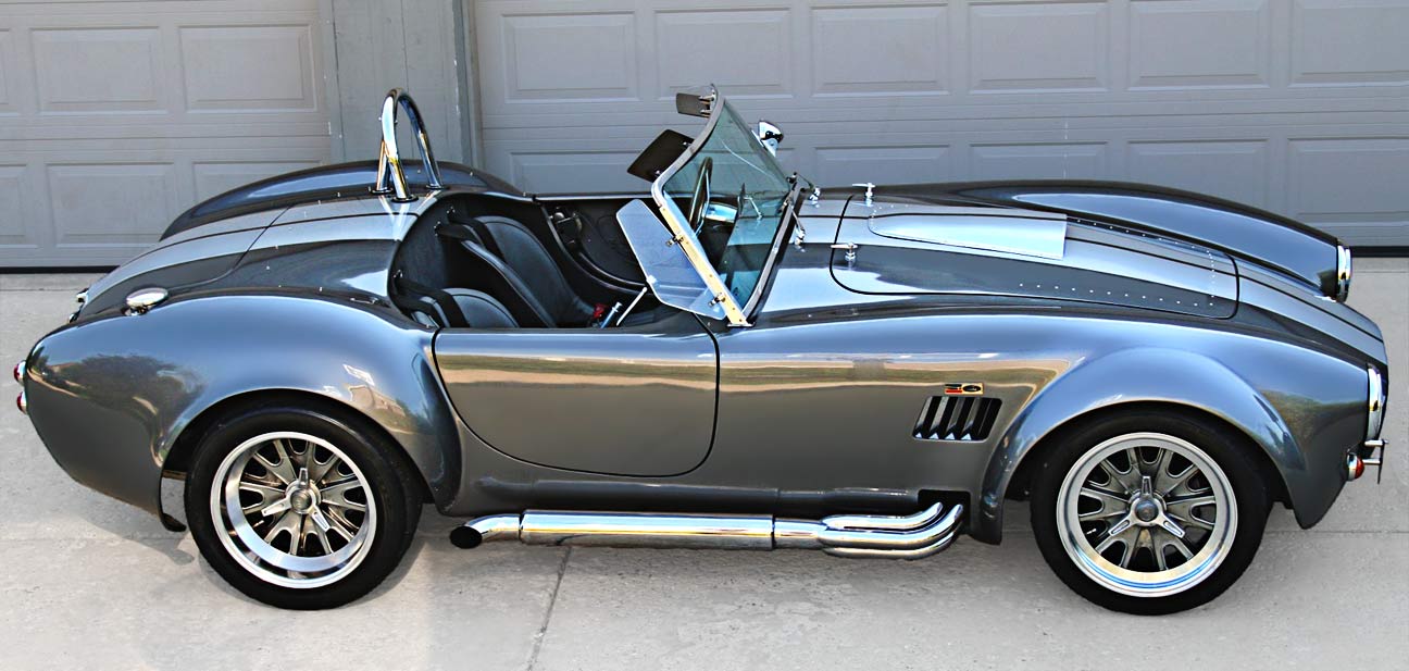 cobra-czerniak-il-BIG