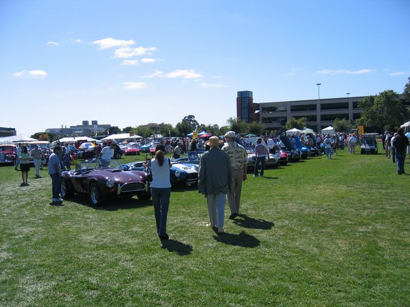 18151Original_Cobras_Palo_Alto