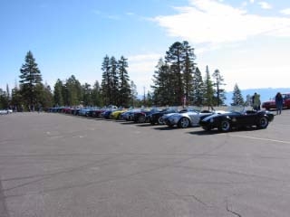 18341mt_rose_2_small