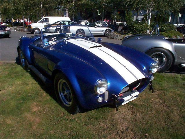 11033blue_cobra