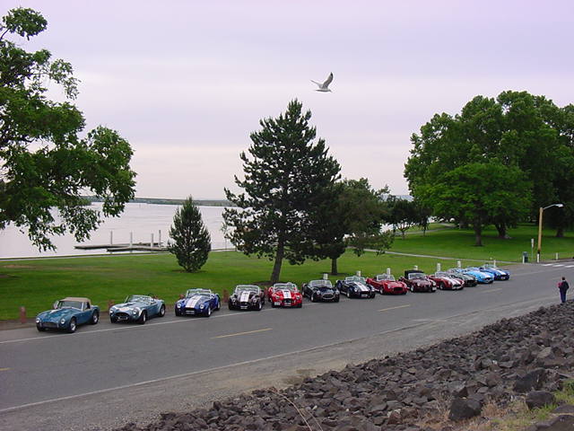 11033cobras&birdwithcolumbiariver