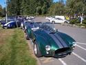 11033green_cobra.jpg
