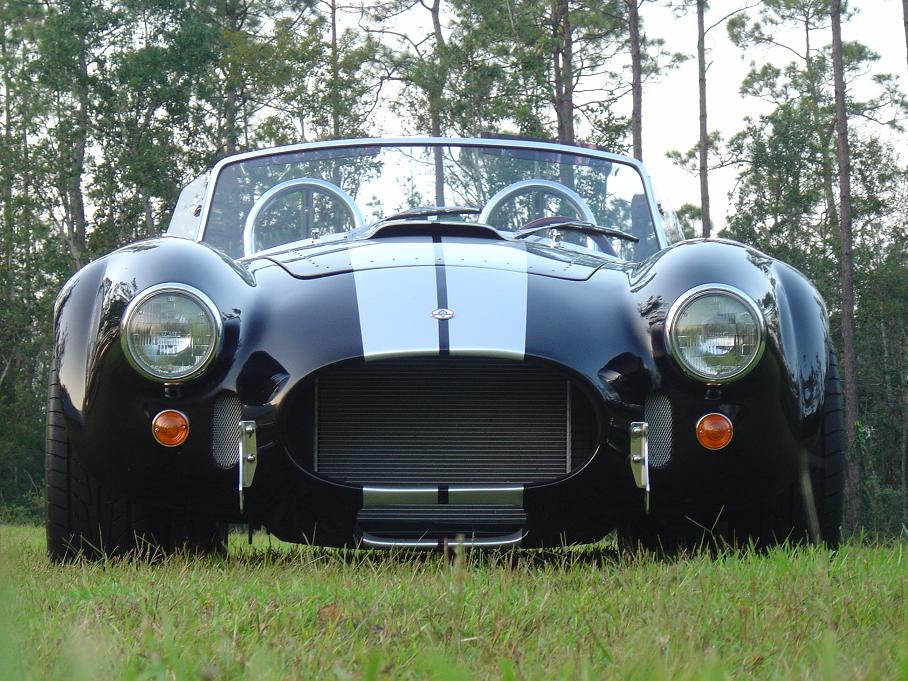 18640Snake_in_the_Grass