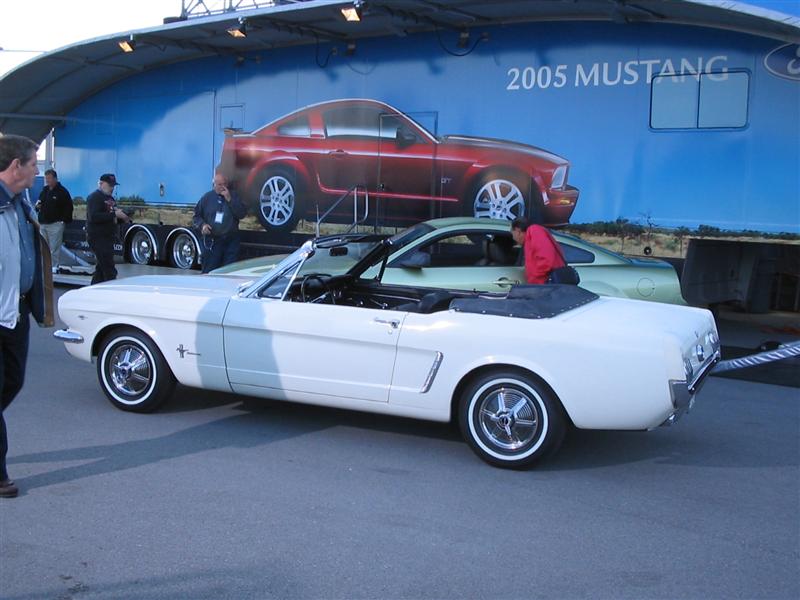 10170IMG_0734_Medium_