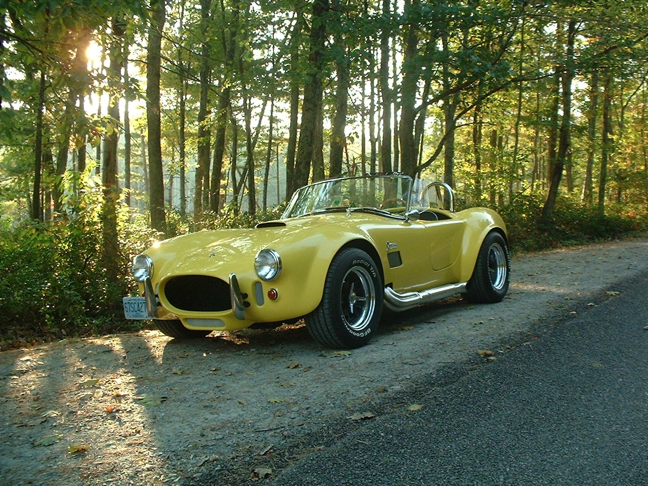 NH_Wildlife-Cobra_009