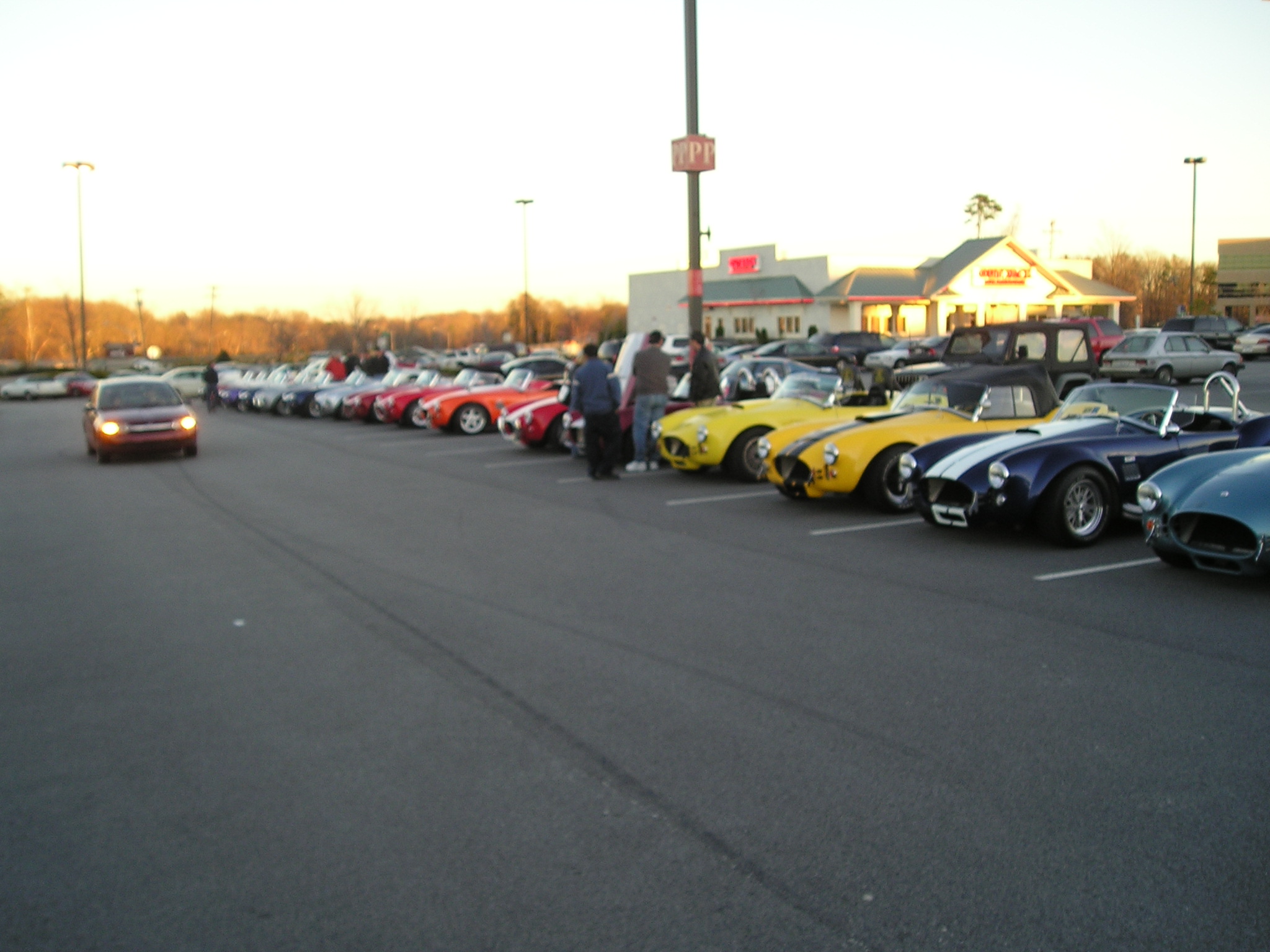 10042Copy_of_Picture_061