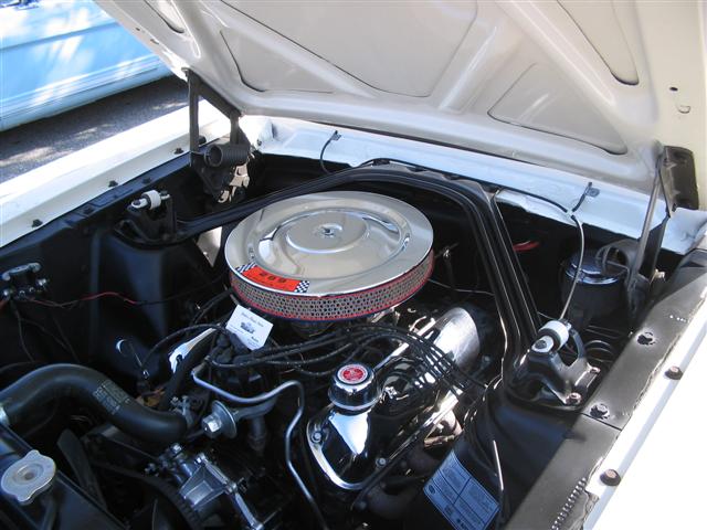 10170IMG_0501_Small_