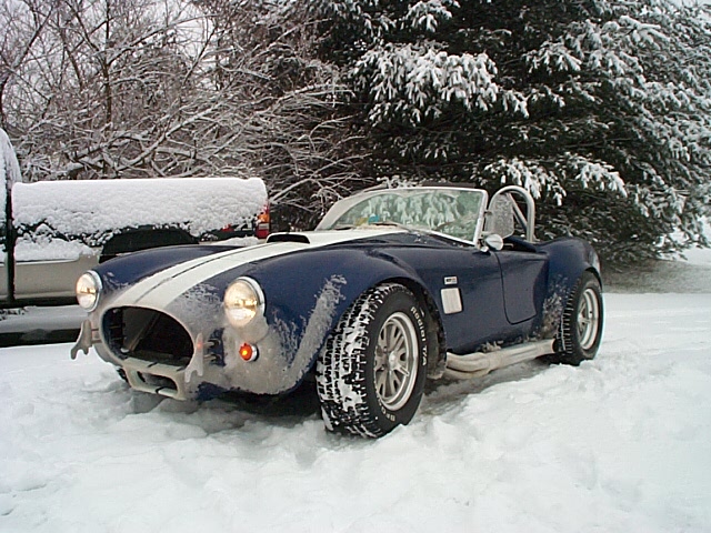 10618Cobra_in_snow