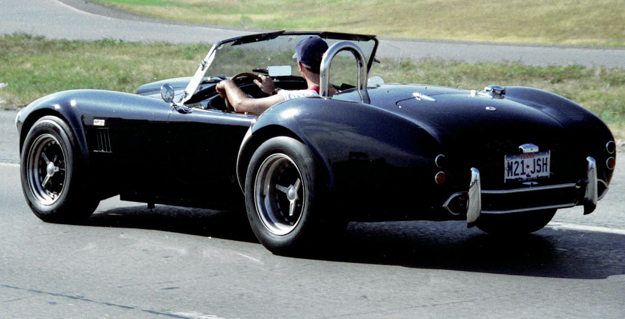 10881cobra_caught_on_the_road