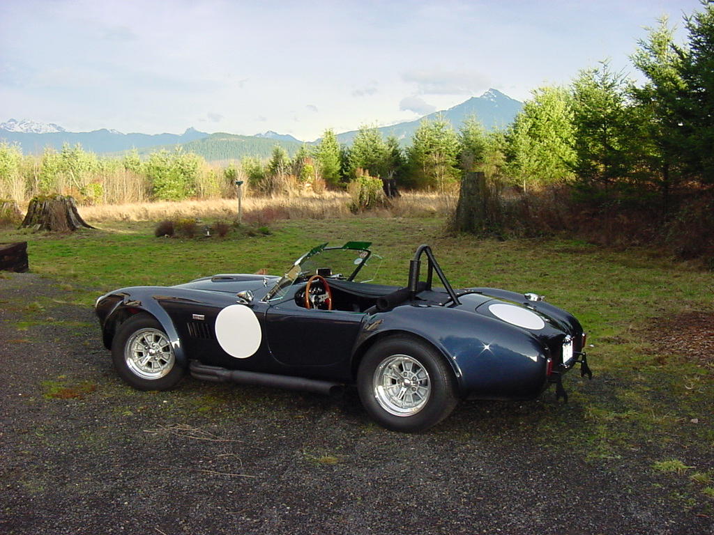 11033Cobra_in_the_backyard