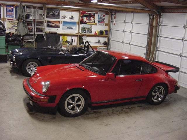 11033cobra_s_new_buddy