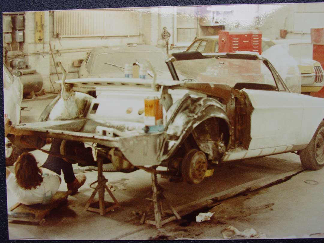 11078DSC02932mustang