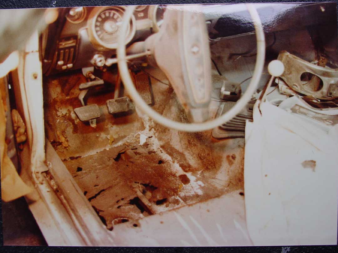 11078DSC02933mustang