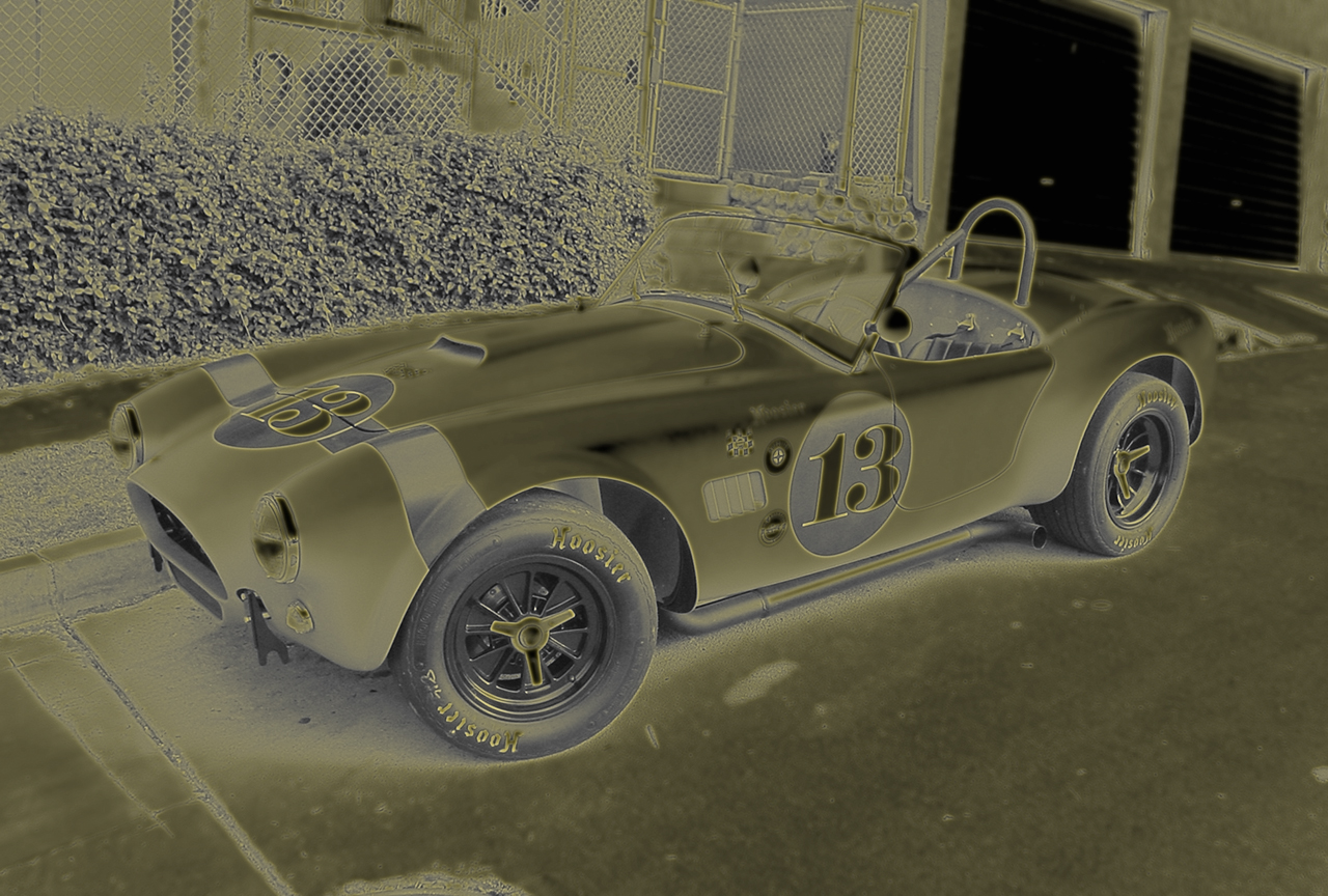 11332Dsc05801goldglo