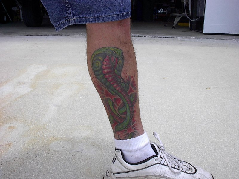 11446Cobra_Tattoo2