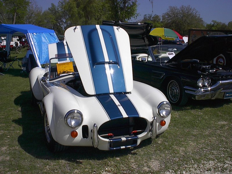 11446Cobra_WB