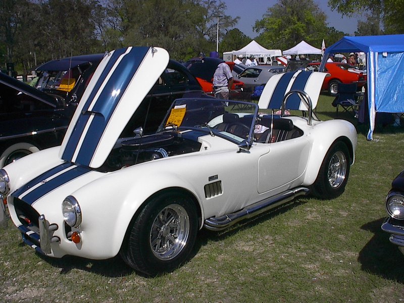 11446Cobra_WB2