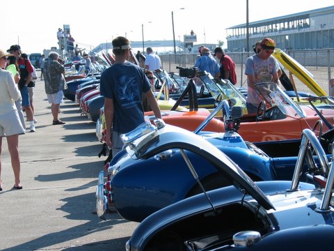 11446Cobra_s_at_Sebring_Historic_Fall_Classic_2005-6