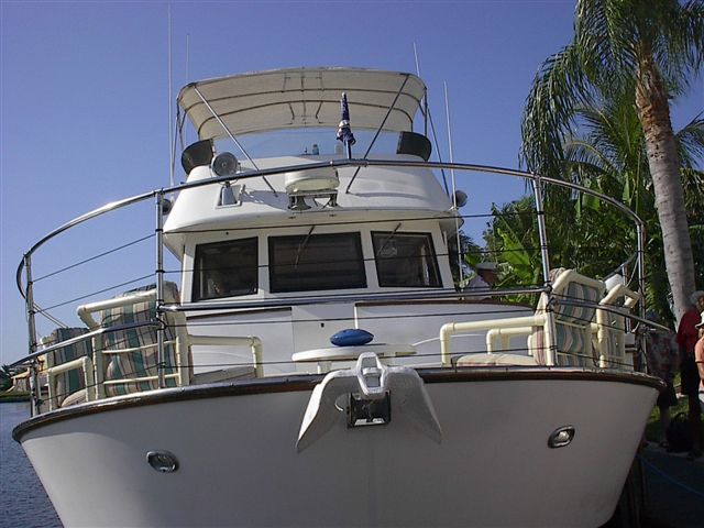 11446Cookie_Cutter_4