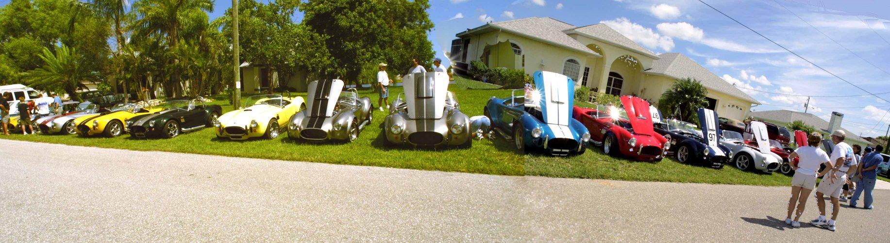 11446cobrabash-1_copy