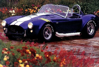 12293MedCobrascreensaver