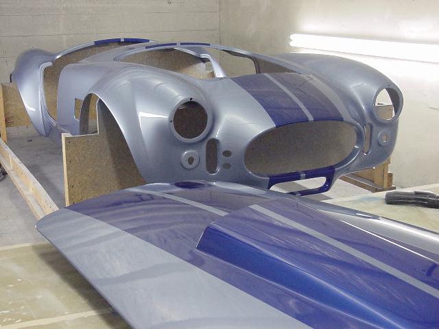 12329Copy_of_bodystriped1